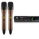 میکروفن بی سیم دو دستی دیجی تک DG Tech D6044