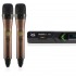 میکروفن بی سیم دو دستی دیجی تک DG Tech D6044