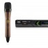 میکروفن بی سیم دستی دیجی تک DG Tech D604