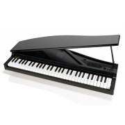 قیمت پیانو دیجیتال کرگ KORG MICRO PIANO
