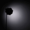 سافت باکس نور Ulanzi AS-D30 30cm Octagonal Softbox With Mini Bowens Mount And Grid