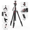 ترایپاد اولانزی Ulanzi TT31 Claw Quick Release Camera Tripod & Monopod