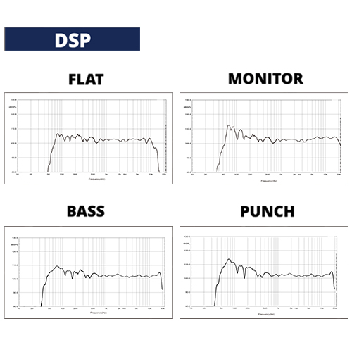 پردازش سیگنال دیجیتال DSP بلندگو Typhon AX12-bt